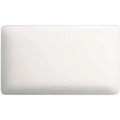 Panasonic 2G Blank Plate